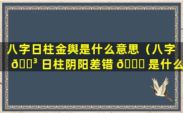 八字日柱金舆是什么意思（八字 🐳 日柱阴阳差错 🍀 是什么意思）